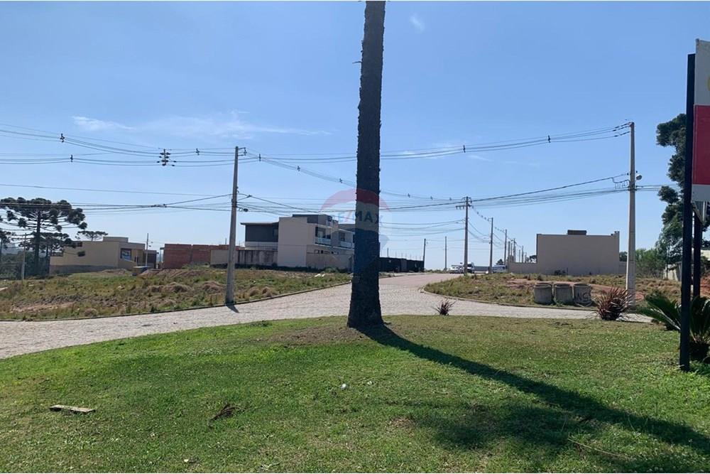 Terreno - Venda - Quatro Barras , Paraná - 20.jpg - 560461019-7