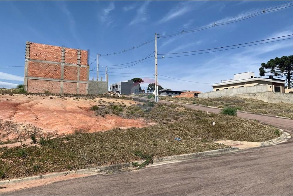 Terreno - Venda - Quatro Barras , Paraná - 26.jpg - 560461019-7