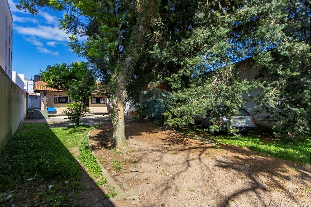 Terreno - Venda - São José dos Pinhais , Paraná - 1.jpg - 560411004-75