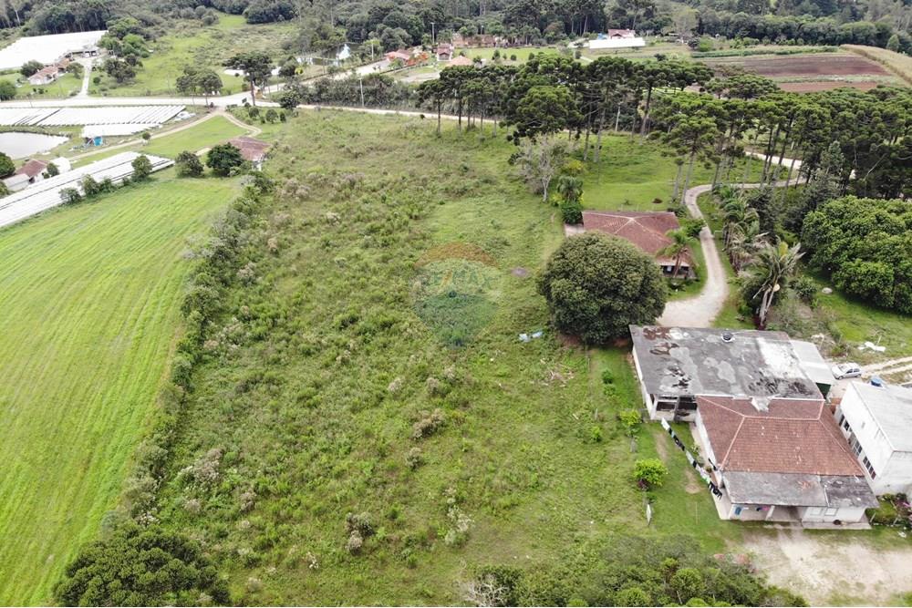 Terreno - Venda - São José dos Pinhais , Paraná - DJI_0647.JPG - 560351069-39