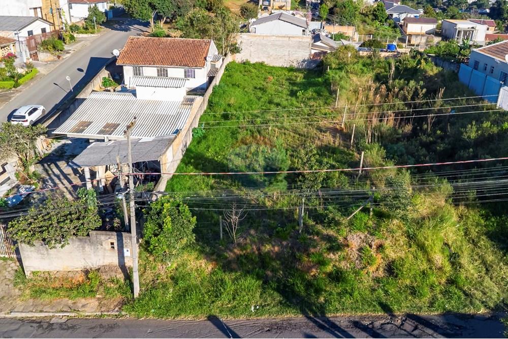 Terreno - Venda - Campo Largo , Paraná - DJI_0737_1.jpg - 560411008-81