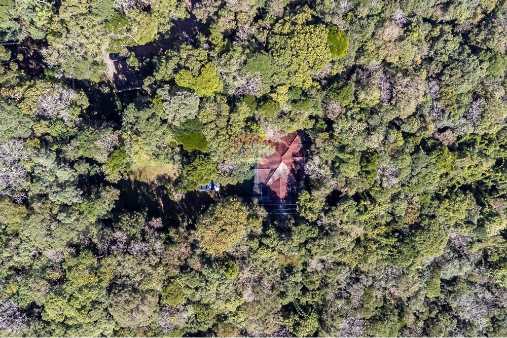 Chácara / Sítio / Fazenda - Venda - Piraquara , Paraná - DJI_0475_1.jpg - 560431012-39