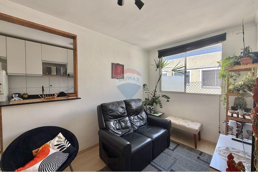 Apartamento - Venda - São José dos Pinhais , Paraná - IMG_2269.jpeg - 560481004-23