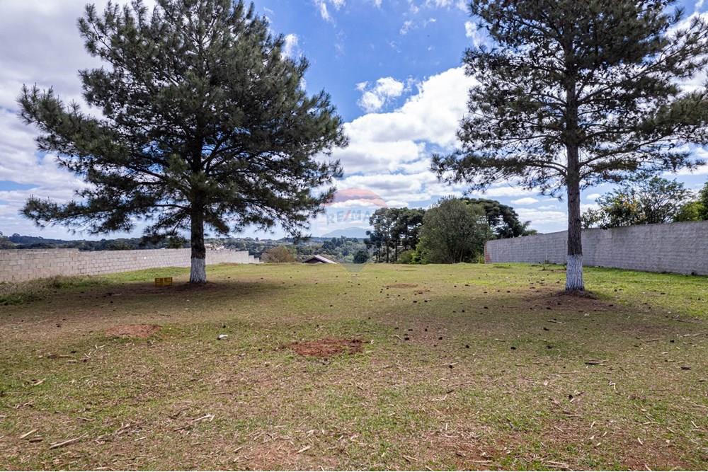 Terreno - Venda - Campo Largo , Paraná - DJI_0831.jpg - 560391078-61