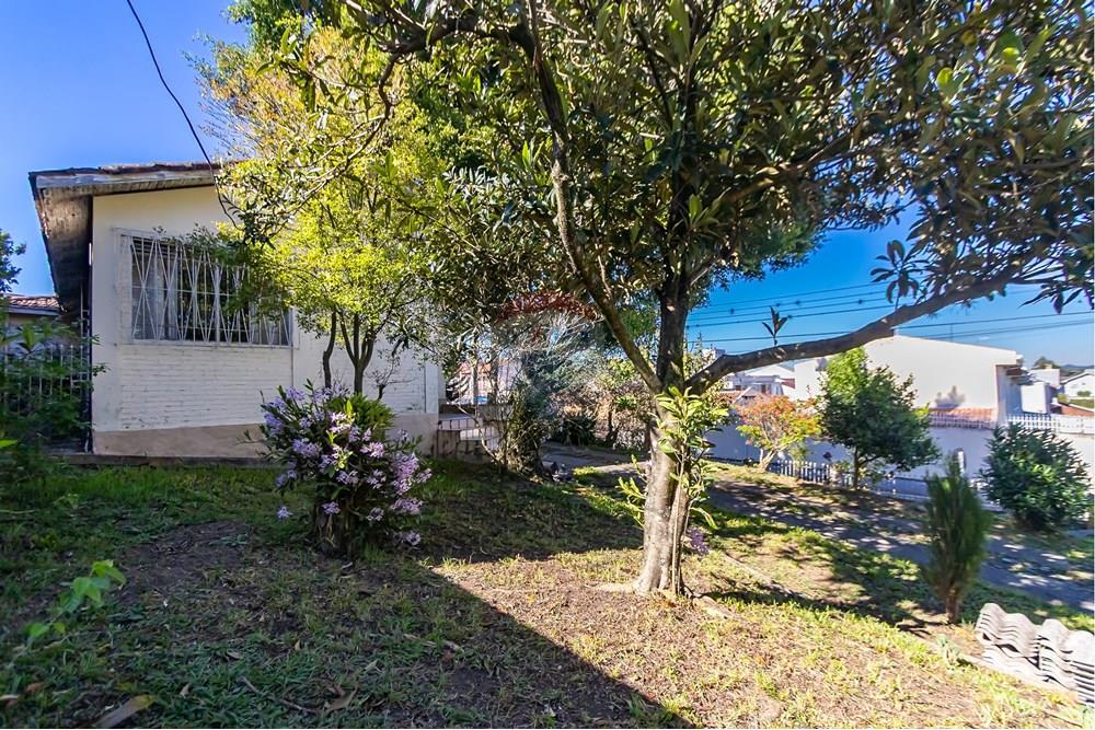 Terreno - Venda - Curitiba , Paraná - IMG_8055.jpg - 560441037-6