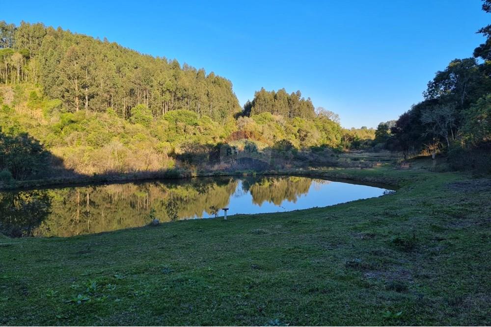 Chácara / Sítio / Fazenda - Venda - Mandirituba , Paraná - dbde00c4-8493-4594-b35a-f011ef78fa7b.jpeg - 560391051-7
