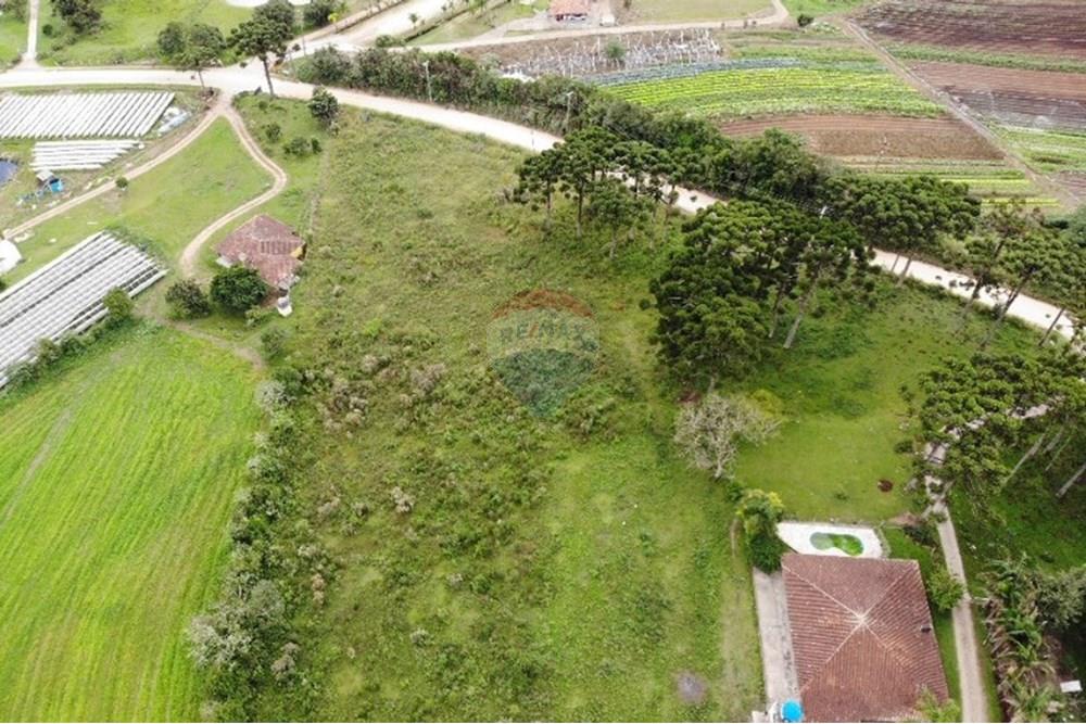 Terreno - Venda - São José dos Pinhais , Paraná - WhatsApp Image 2025-03-22 at 22.01.46 (11).jpeg - 560351069-39
