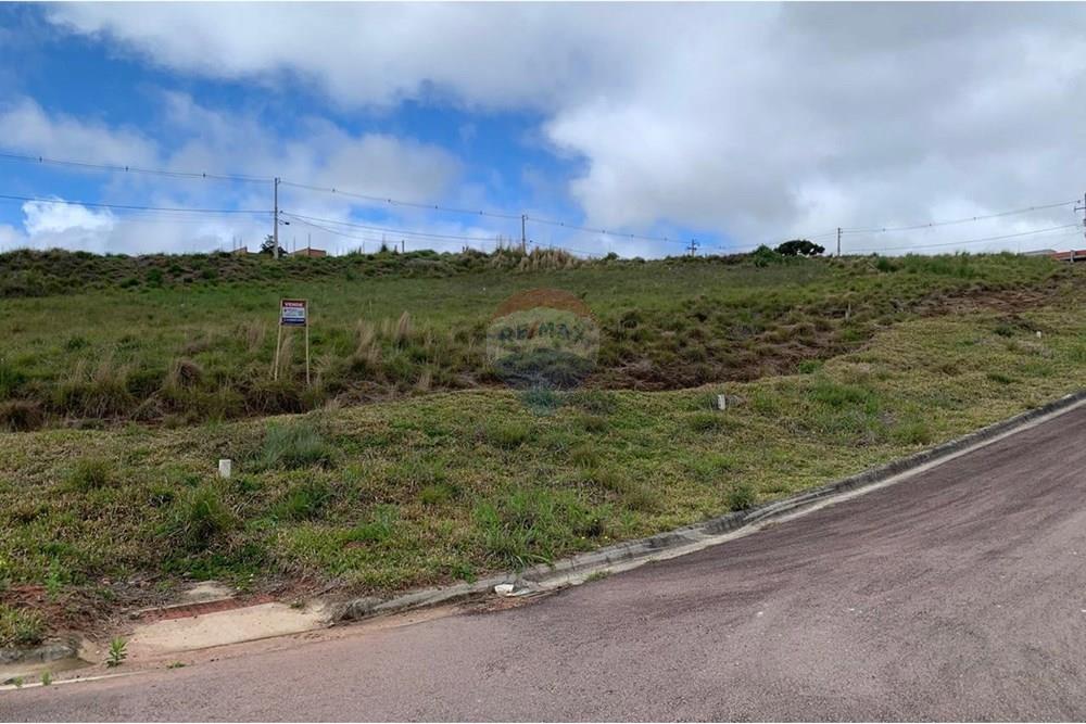 Terreno - Venda - Quatro Barras , Paraná - 04 (2).jpg - 560461019-10