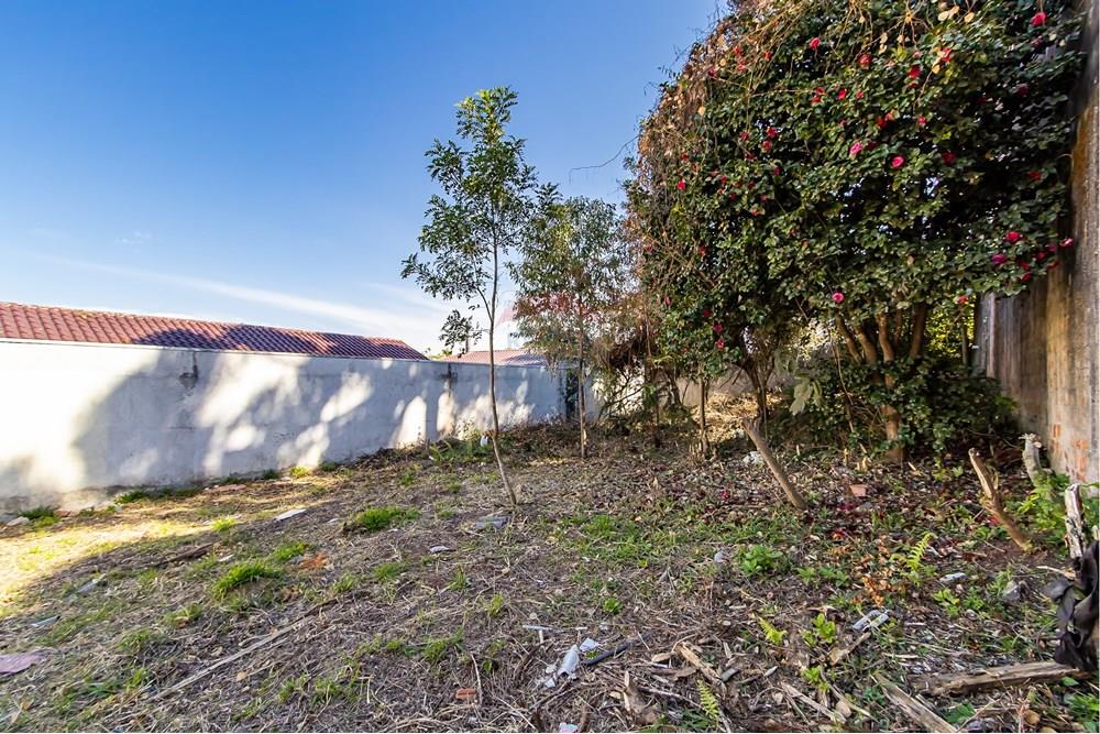 Terreno - Venda - Curitiba , Paraná - IMG_7318.jpg - 560341040-20