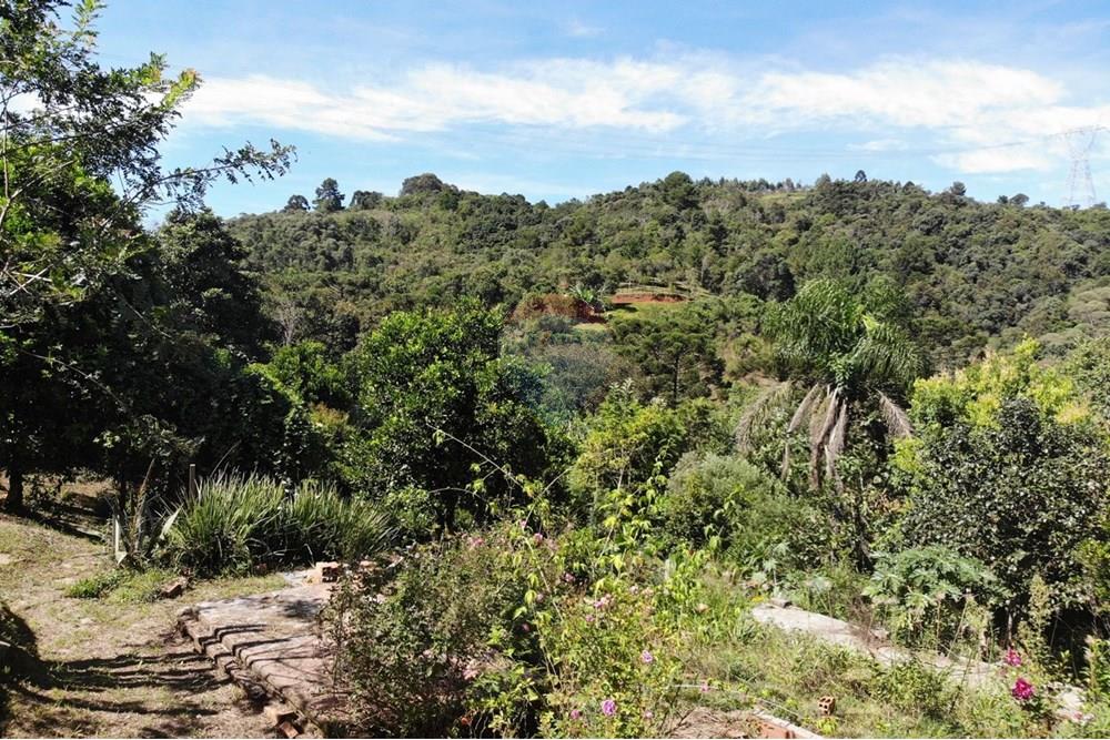 Chácara / Sítio / Fazenda - Venda - Campo Magro , Paraná - WhatsApp Image 2025-04-09 at 19.11.30.jpeg - 560351106-18