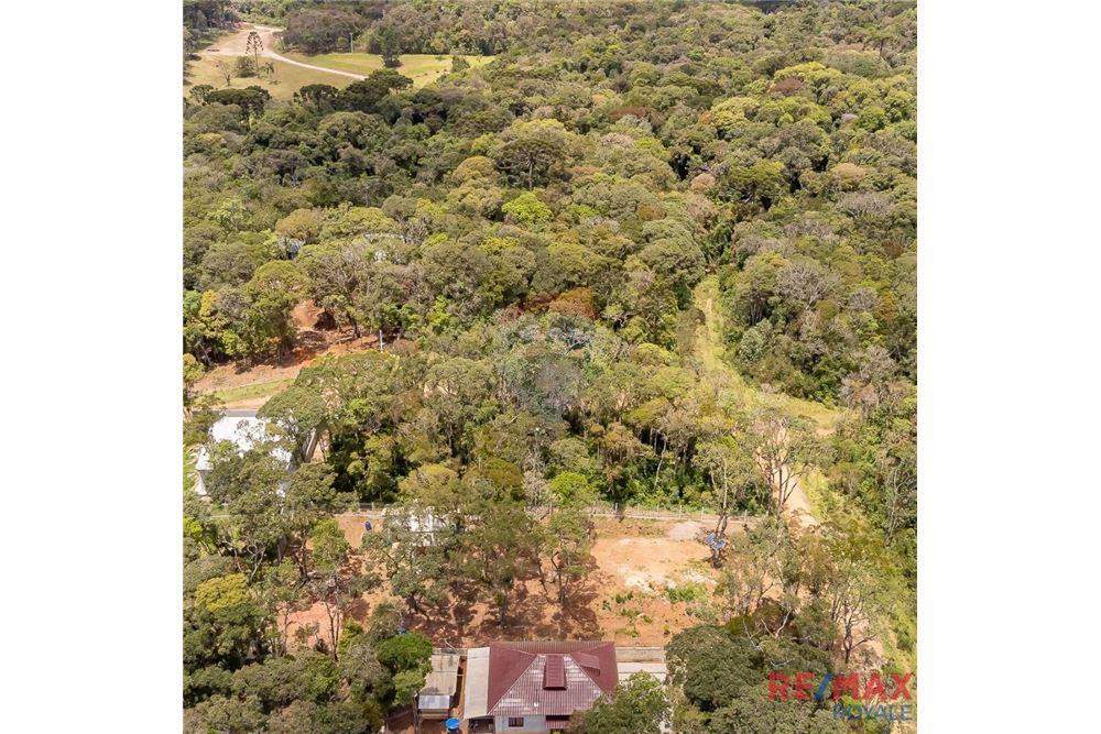 Terreno - Venda - São José dos Pinhais , Paraná - 25 - 560251029-43