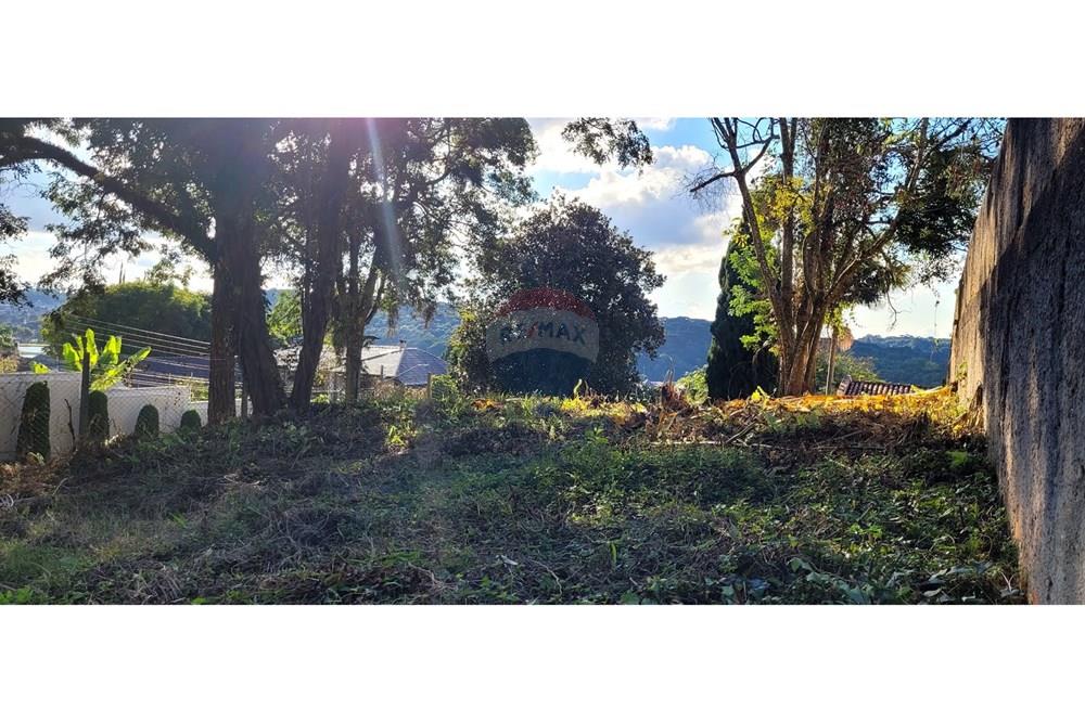 Terreno - Venda - Curitiba , Paraná - foto 6.jpg - 560251041-53
