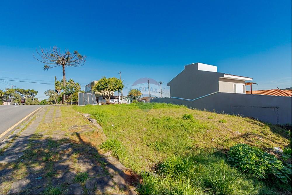 Terreno - Venda - Curitiba , Paraná - IMG_8523.jpg - 560351131-6