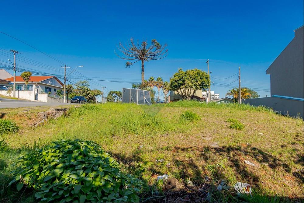 Terreno - Venda - Curitiba , Paraná - IMG_8516.jpg - 560351131-6