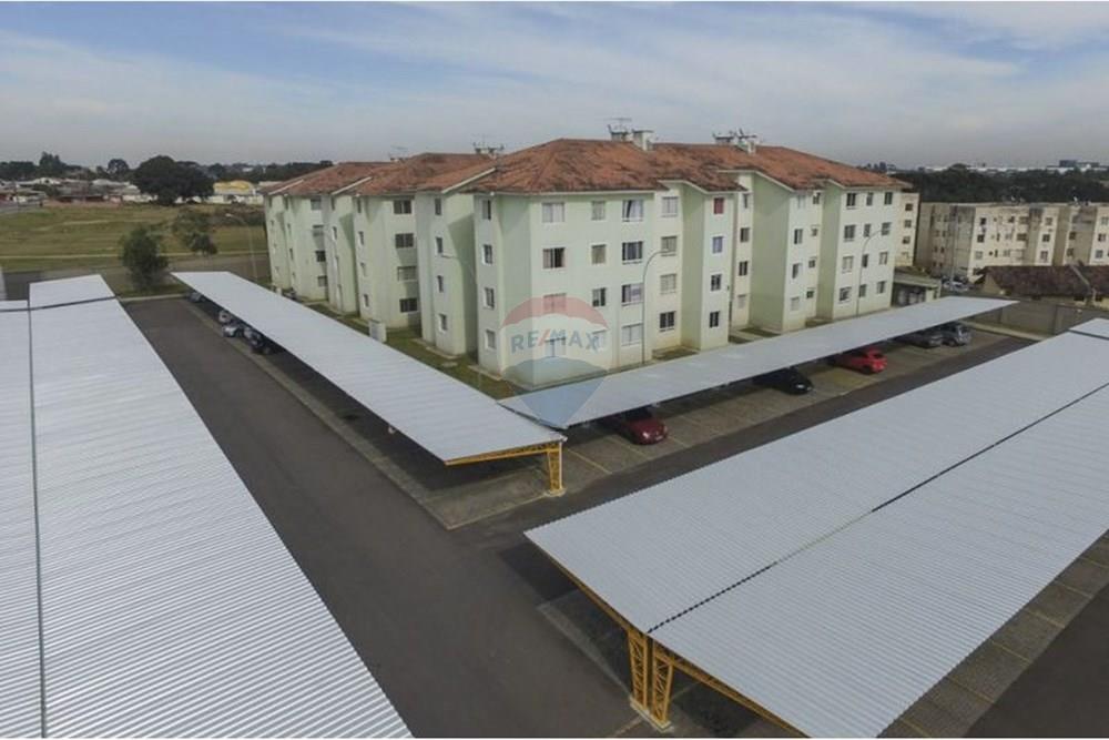 Apartamento - Venda - São José dos Pinhais , Paraná - 00000212.jpg - 560481007-8