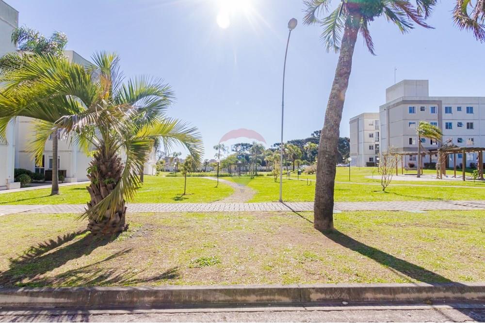 Apartamento - Venda - São José dos Pinhais , Paraná - IMG_9310.jpeg - 560331022-68