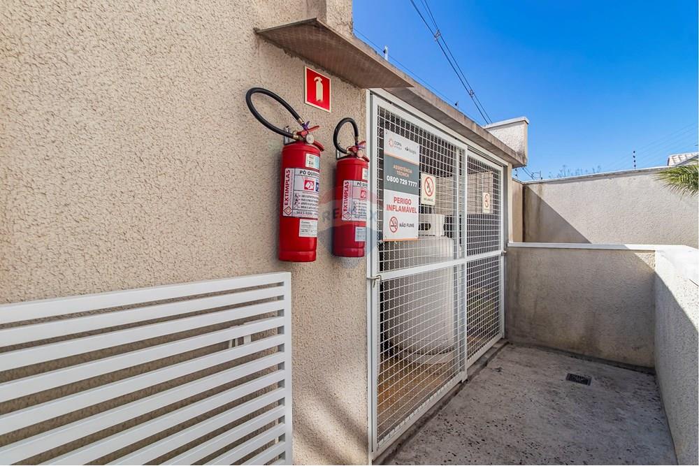 Apartamento - Alugar - Curitiba , Paraná - IMG_9914_1.jpg - 560311047-533