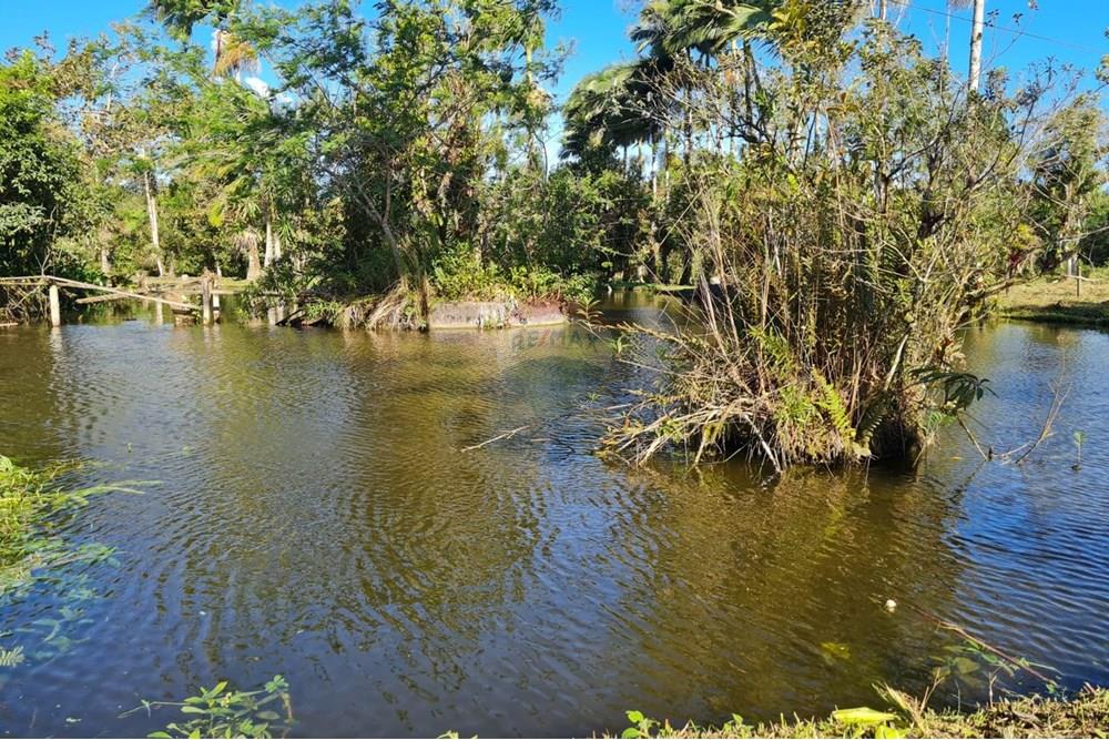 Chácara / Sítio / Fazenda - Venda - Antonina , Paraná - 3d1cdc86-90bb-4927-804a-c07cc6eef089.jpeg - 560391051-9