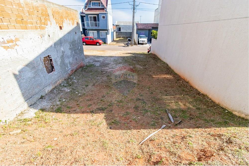 Terreno - Venda - Curitiba , Paraná - IMG_2091_1.jpg - 560371031-39