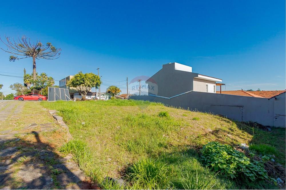 Terreno - Venda - Curitiba , Paraná - IMG_8519.jpg - 560351131-6