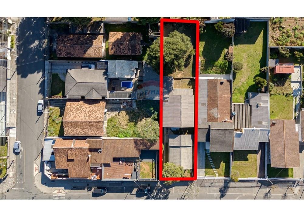 Terreno - Venda - Campo Largo , Paraná - FOTO TERRENO CAMPO LARGO DEMARCADA 01.jpg - 560461009-49