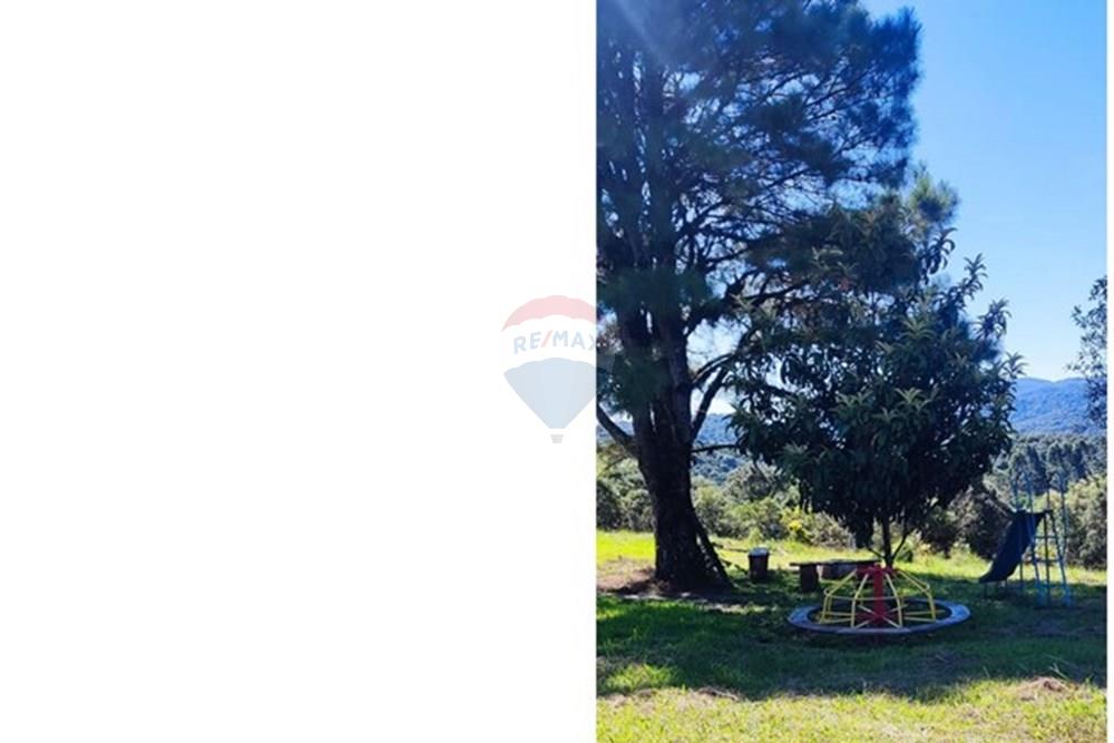 Chácara / Sítio / Fazenda - Venda - São José dos Pinhais , Paraná - 008.jpeg - 560331080-8