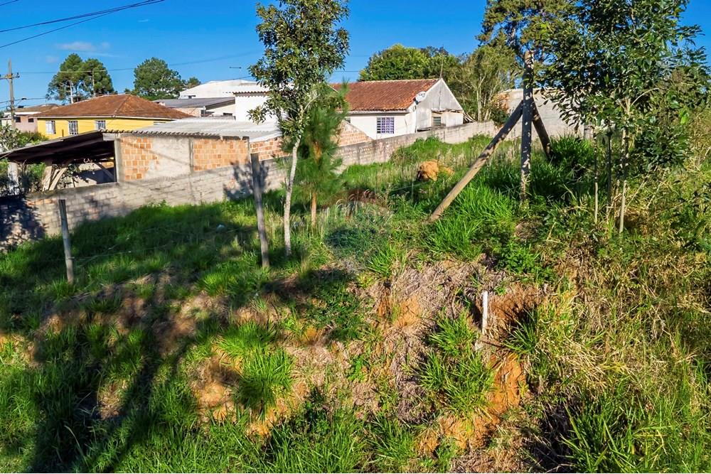 Terreno - Venda - Campo Largo , Paraná - DJI_0754_1.jpg - 560411008-81