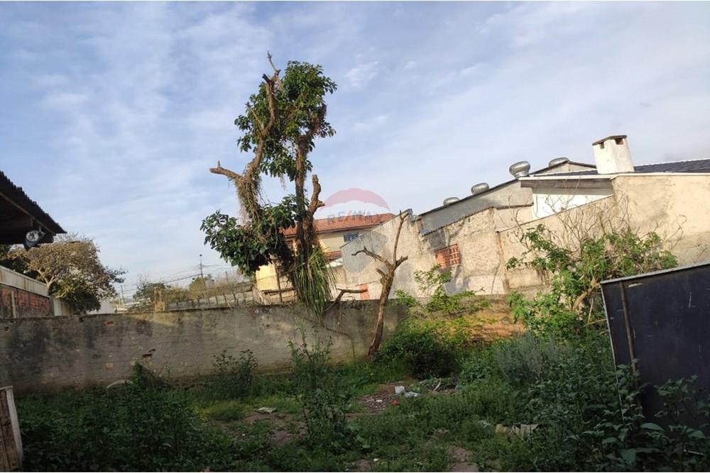 Casa - Venda - Araucária , Paraná - IMG-20250904-WA0031.jpg - 560491004-5