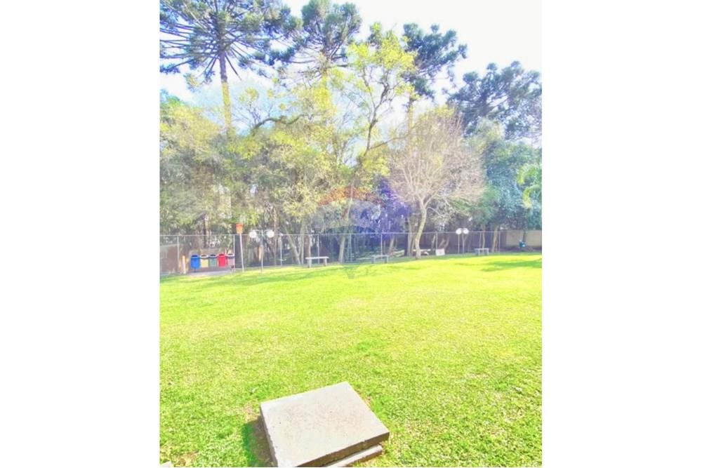 Apartamento - Venda - São José dos Pinhais , Paraná - IMG_5834.jpeg - 560481004-23