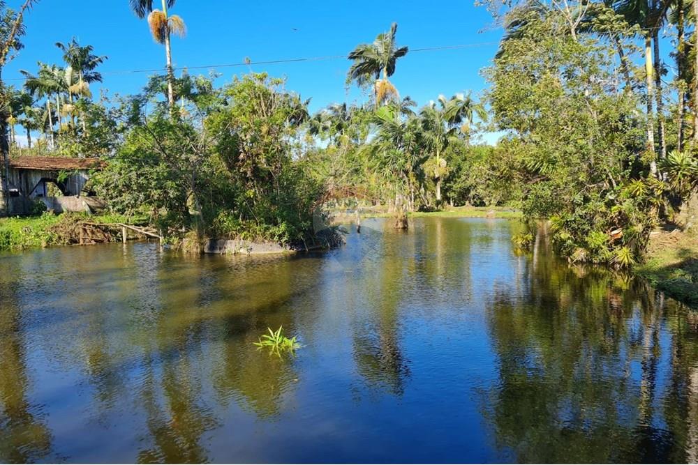 Chácara / Sítio / Fazenda - Venda - Antonina , Paraná - de8a0a01-6e54-4d2e-bddb-246b74fd5a69.jpeg - 560391051-9