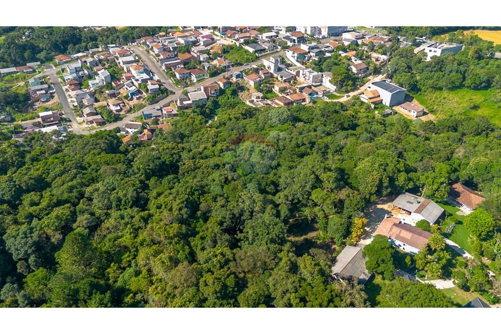 Terreno - Venda - Almirante Tamandaré , Paraná - DJI_0012.jpg - 560411008-76