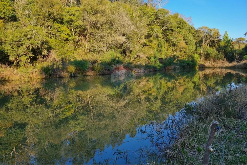 Chácara / Sítio / Fazenda - Venda - Mandirituba , Paraná - dc9a7eb2-b333-4a2a-a040-df81a7bf1975.jpeg - 560391051-7