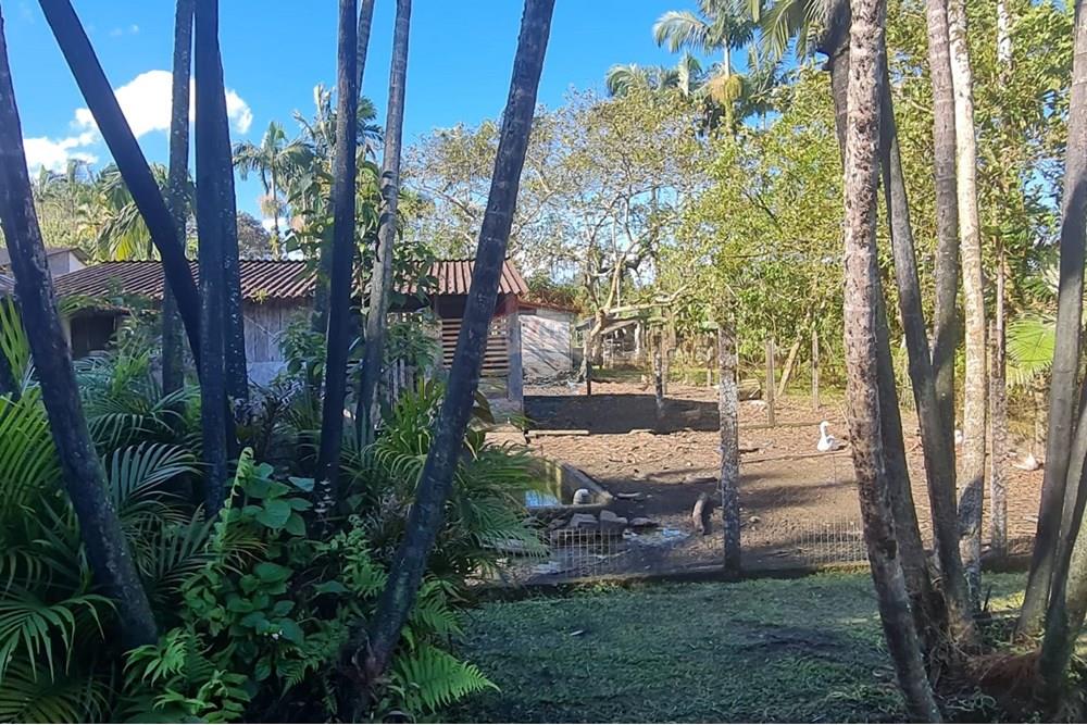 Chácara / Sítio / Fazenda - Venda - Antonina , Paraná - 59cf868c-09ee-455a-8445-cfadbe6d7ba1 (1).jpeg - 560391051-9