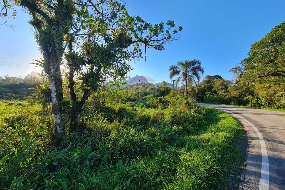 Chácara / Sítio / Fazenda - Venda - Antonina , Paraná - 1d54a1cf-7036-4a60-98a2-f5d29081a696.jpeg - 560391051-9