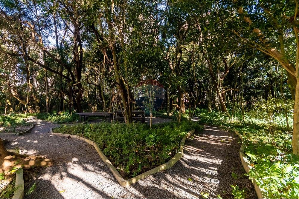 Apartamento - Alugar - Curitiba , Paraná - ProfPedroVPdeSouza-84.jpg - 560311047-543