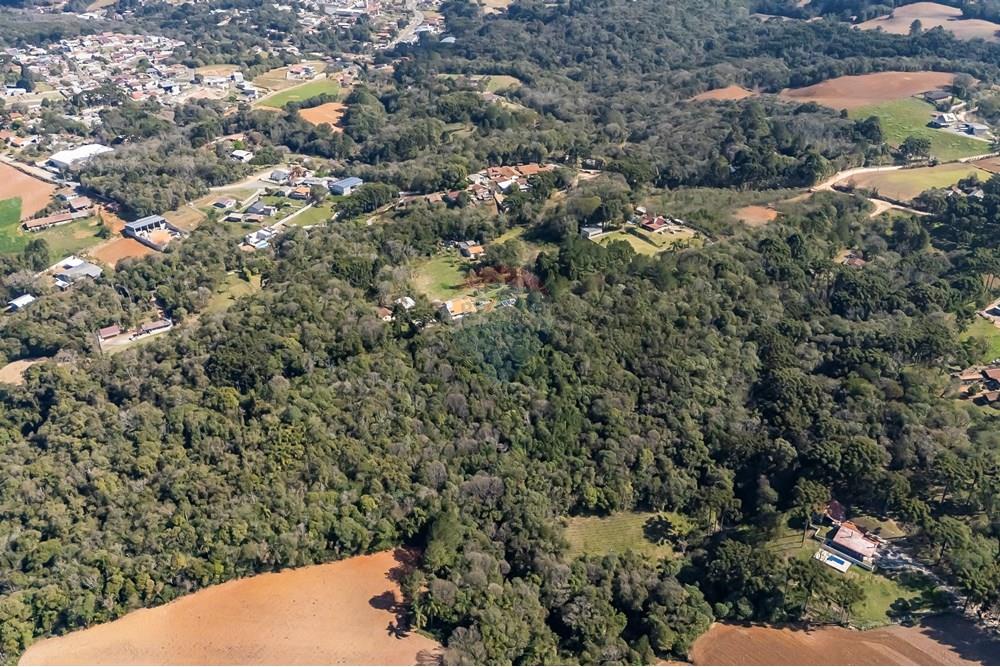 Terreno - Venda - Campo Largo , Paraná - DJI_20250818141322_0012_D_1.jpg - 560461009-53