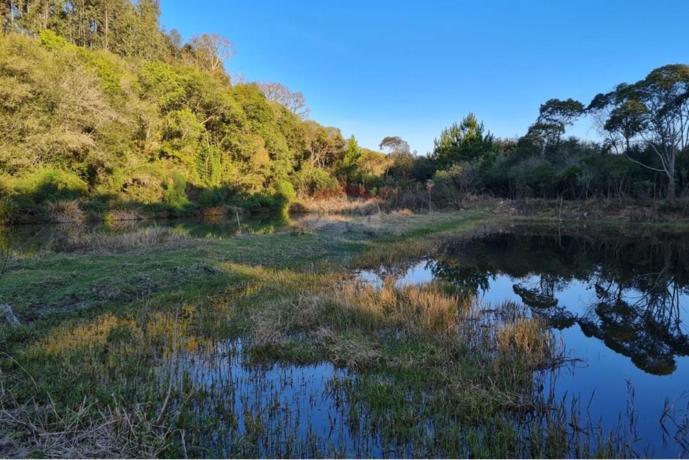 Chácara / Sítio / Fazenda - Venda - Mandirituba , Paraná - 7a0b1fe9-bae7-4da5-b99b-ce76b5207e83.jpeg - 560391051-7