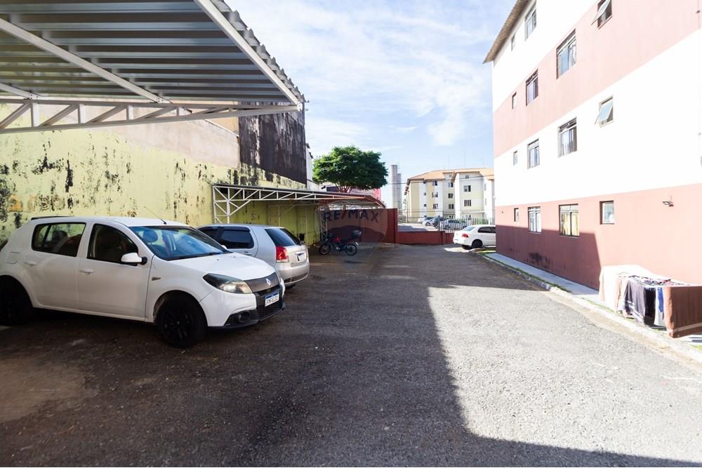 Apartamento - Venda - Curitiba , Paraná - IMG_6340.jpg - 560331019-83