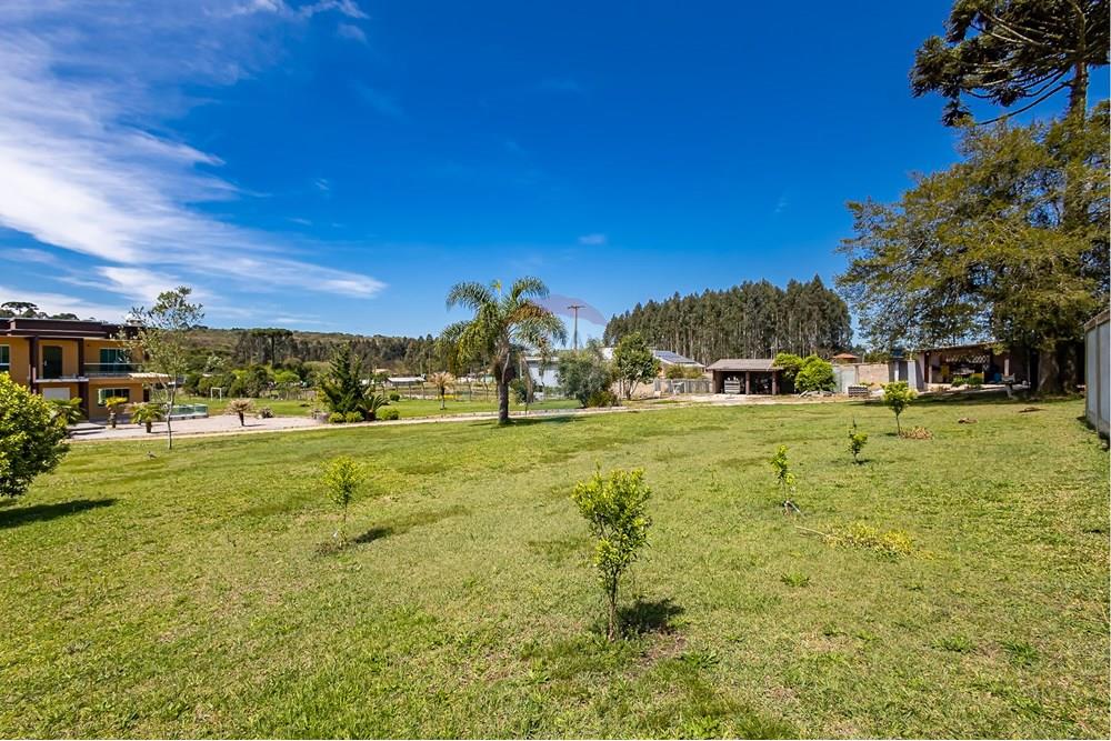 Chácara / Sítio / Fazenda - Venda - Campina Grande do Sul , Paraná - IMG_4584.jpg - 560411009-91