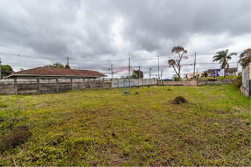 Terreno - Venda - Quatro Barras , Paraná - IMG_9732.jpg - 560411029-21