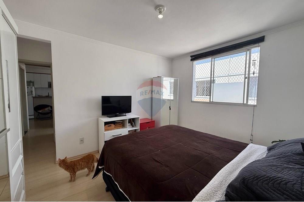 Apartamento - Venda - São José dos Pinhais , Paraná - IMG_2276.jpeg - 560481004-23