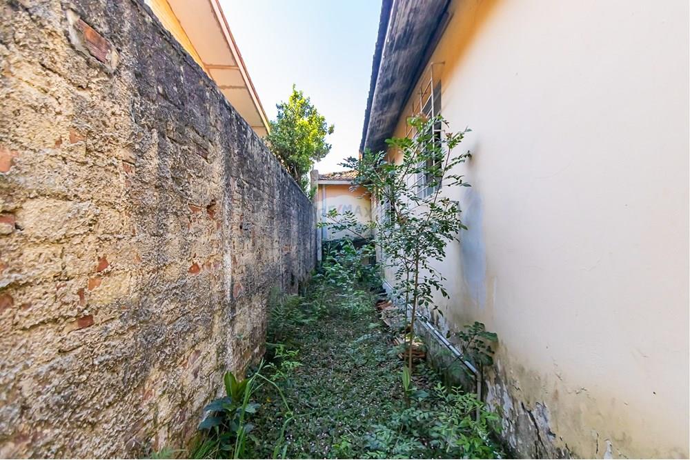 Terreno - Venda - Curitiba , Paraná - IMG_8057.jpg - 560441037-6