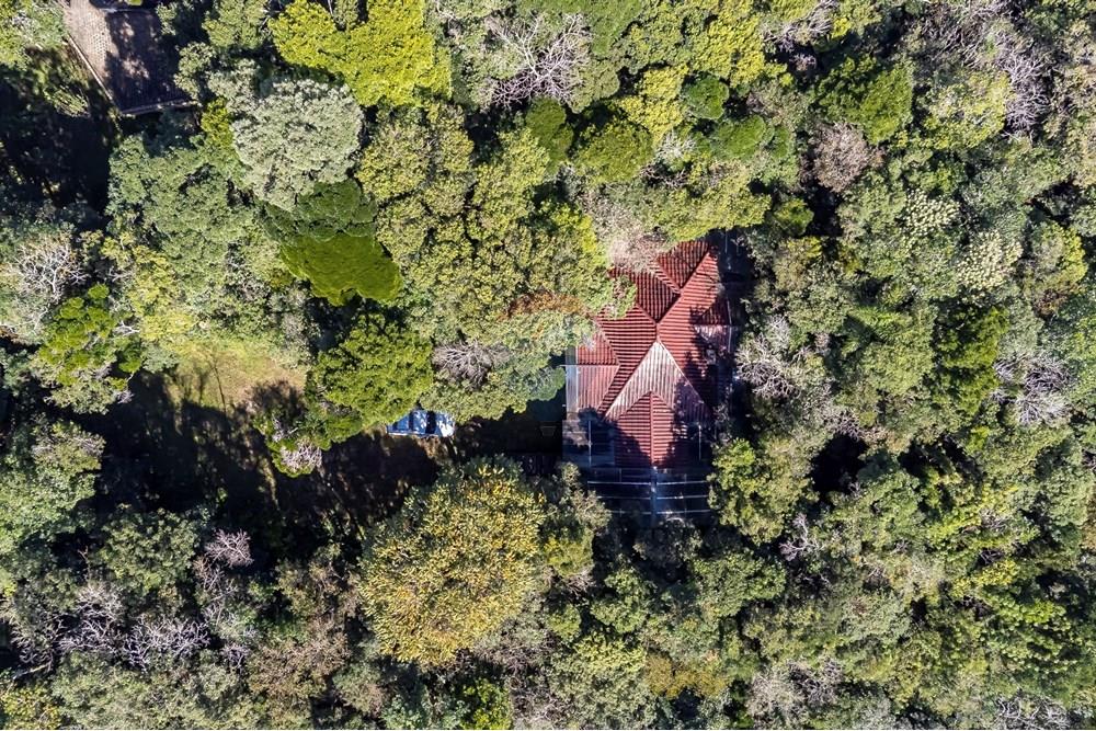 Chácara / Sítio / Fazenda - Venda - Piraquara , Paraná - DJI_0474_1.jpg - 560431012-39