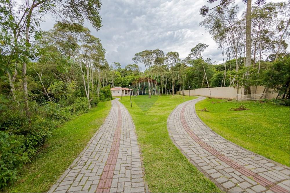 Apartamento - Venda - Campo Largo , Paraná - ad71d509-e4c9-4a45-8fff-671566f6a1ca.jpeg - 560411032-62