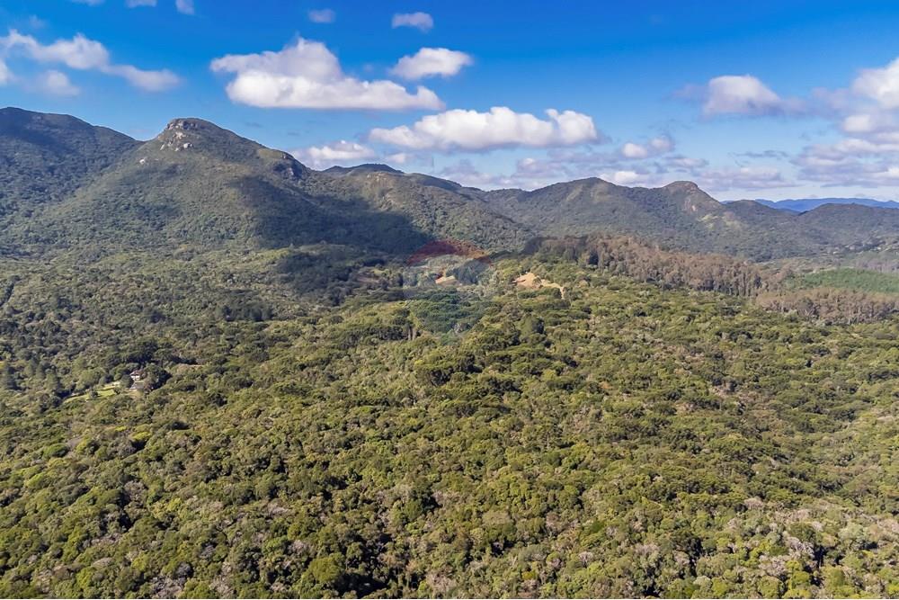 Chácara / Sítio / Fazenda - Venda - Piraquara , Paraná - DJI_0477_1.jpg - 560431012-39