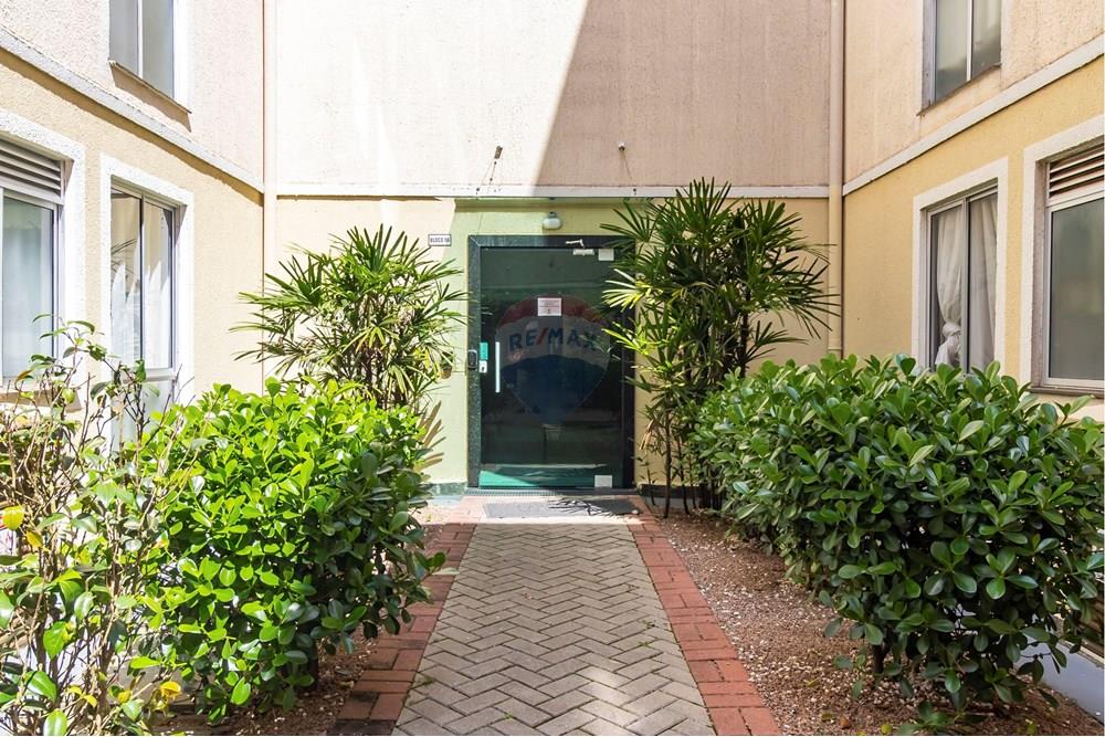 Apartamento - Alugar - Curitiba , Paraná - 1.jpg - 560251018-269