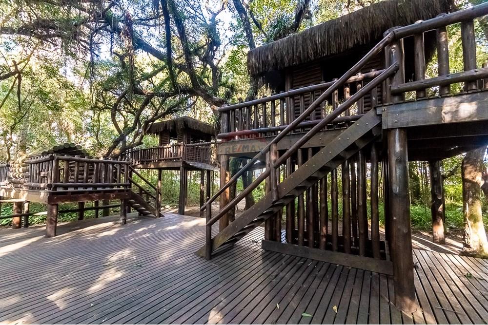 Apartamento - Alugar - Curitiba , Paraná - ProfPedroVPdeSouza-77.jpg - 560311047-543