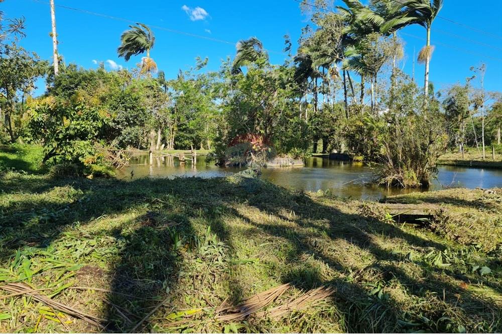 Chácara / Sítio / Fazenda - Venda - Antonina , Paraná - 96e810b7-ab67-4e8a-baa2-74006c71b53f.jpeg - 560391051-9