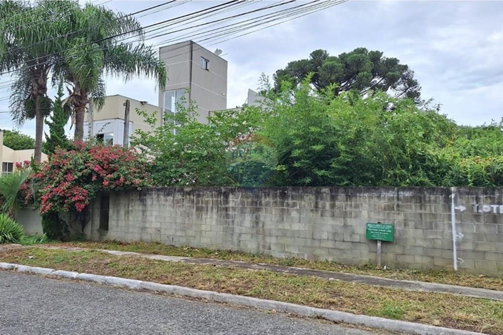 Terreno - Venda - Curitiba , Paraná - WhatsApp Image 2025-04-03 at 09.54.57.jpeg - 560301057-6