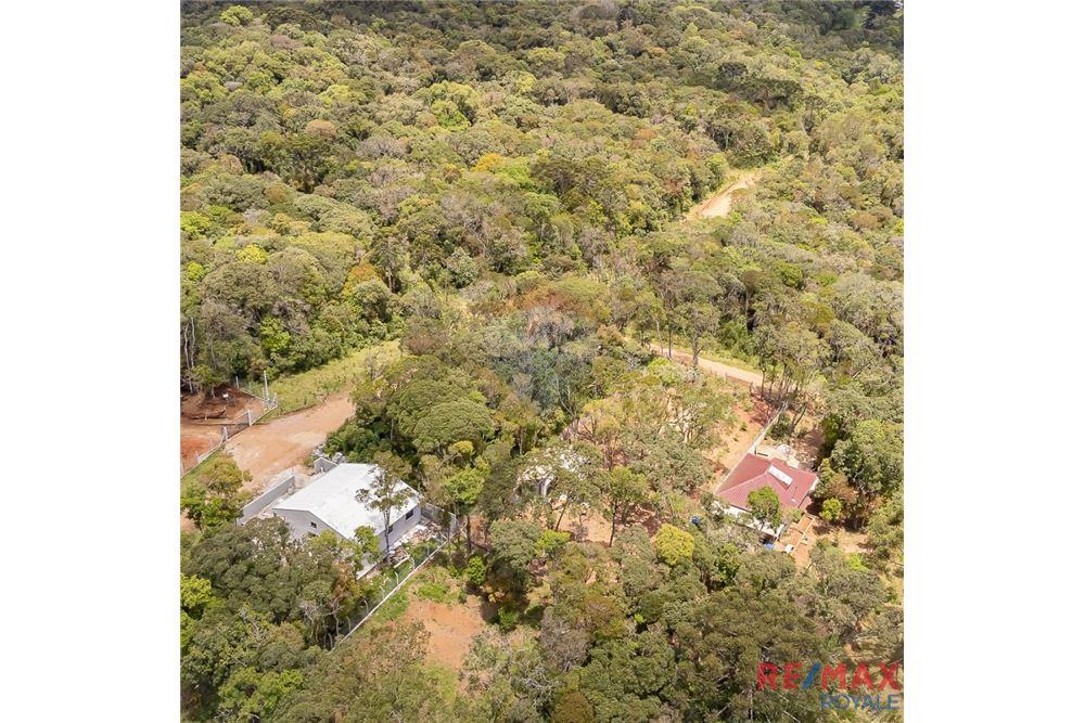 Terreno - Venda - São José dos Pinhais , Paraná - 17 - 560251029-43